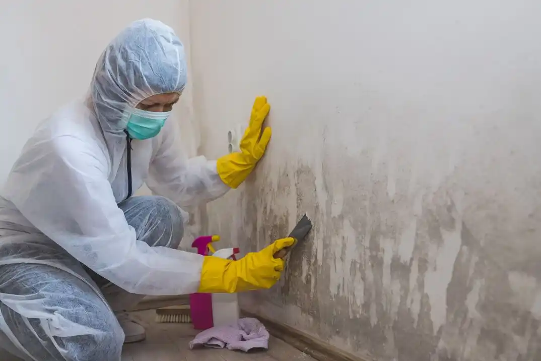 water damage restoration service Perwinkle